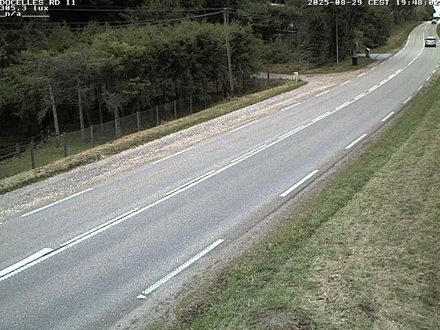 Webcam à 424 mètres d'altitude dans la Tranchée de Docelles dans les Vosges, à proximité d'Epinal sur la route de Gerardmer (D11)