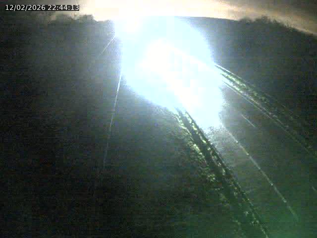 Caméra autoroute France - A31, Velaine-en-Haye direction Nancy