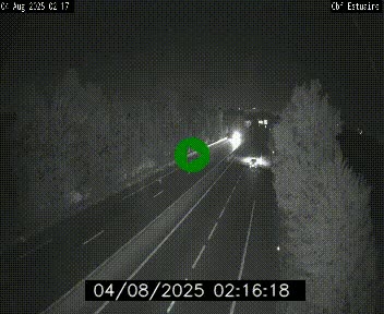 Webcam sur le périphérique de Nantes (N844) après la Porte de Bouguenais, à l'ouest de la ville