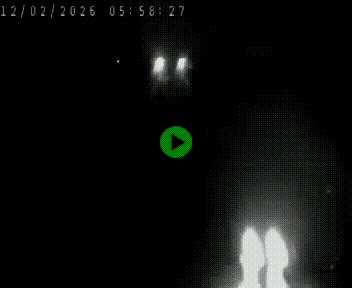 Caméra autoroute A75 à hauteur de Le Crest, en direction de Montpellier