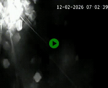 Caméra autoroute A75 à hauteur de la sortie 49 Le Caylar en direction de Montpellier