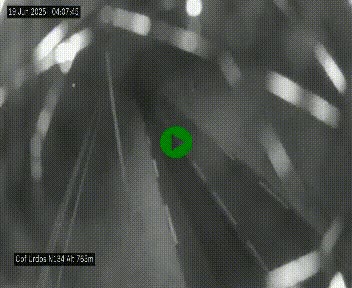 Webcam dans les Pyrénées Atlantique au niveau du col d'Urdos et du fort du Pourtalet sur la N134, en direction du Col et du tunnel du Somport, à 765 mètres d'altitude