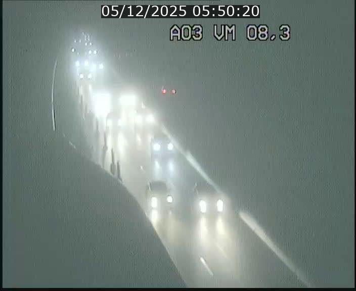 Traffic live webcam Luxembourg Bettembourg - A3 - BK 8.3 - direction France