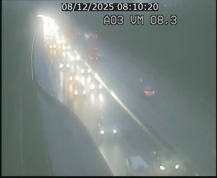 Traffic live webcam Luxembourg Bettembourg - A3 - BK 8.3 - direction France