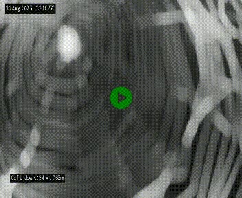 Webcam dans les Pyrénées Atlantique au niveau du col d'Urdos et du fort du Pourtalet sur la N134, en direction du Col et du tunnel du Somport, à 765 mètres d'altitude