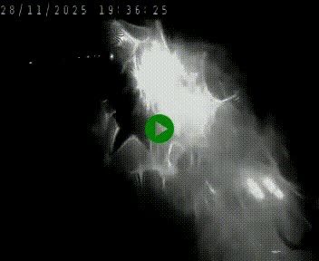 Caméra autoroute A75 à hauteur de Le Crest, en direction de Montpellier