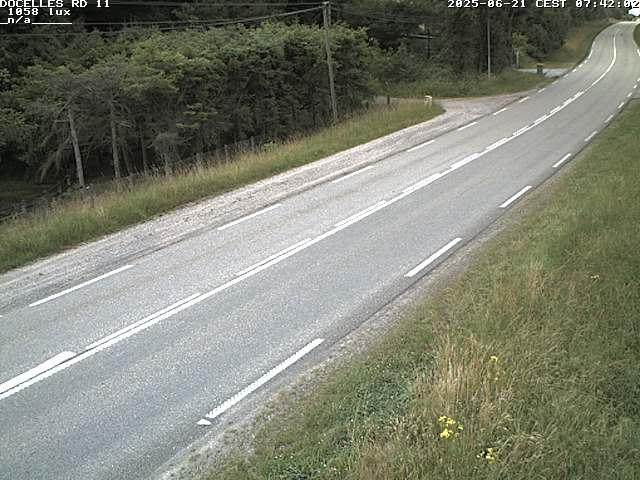 Webcam à 424 mètres d'altitude dans la Tranchée de Docelles dans les Vosges, à proximité d'Epinal sur la route de Gerardmer (D11)