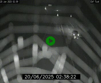 Webcam sur le périphérique de Rennes (N136) à hauteur de Tizé, à l'est de la ville