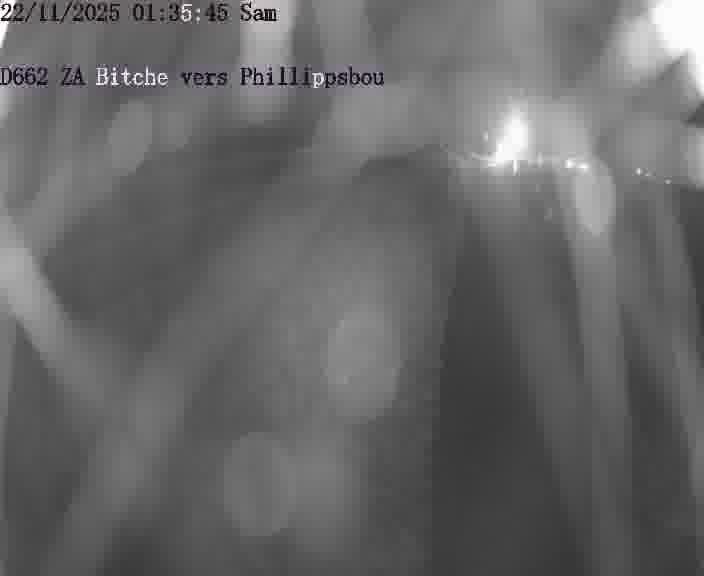 Caméra de trafic sur D662 (France) à Bitche, orientée vers Phillippsbourg, permettant d’évaluer fluidité, incidents et densité automobile.