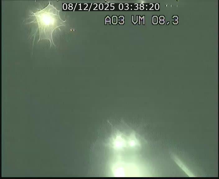 Traffic live webcam Luxembourg Bettembourg - A3 - BK 8.3 - direction France