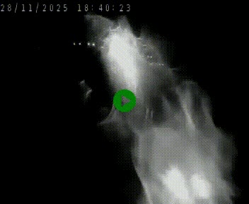 Caméra autoroute A75 à hauteur de Le Crest, en direction de Montpellier