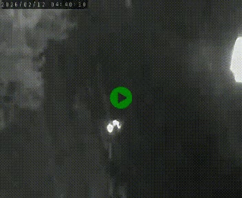 Caméra routière France - N102, au niveau du col de Montmirat à Saint-Etienne-du-Valdonnez à 1039 mètres d'altitude