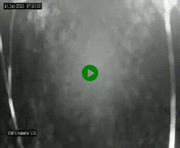 Webcam routière au début de la N10, au sud de Poitiers, proche de la jonction avec l'A10