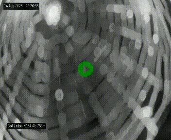 Webcam dans les Pyrénées Atlantique au niveau du col d'Urdos et du fort du Pourtalet sur la N134, en direction du Col et du tunnel du Somport, à 765 mètres d'altitude