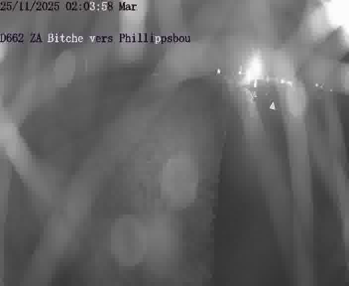 Caméra de trafic sur D662 (France) à Bitche, orientée vers Phillippsbourg, permettant d’évaluer fluidité, incidents et densité automobile.