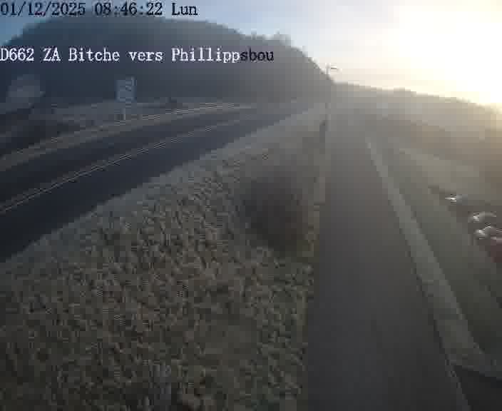 Caméra de trafic sur D662 (France) à Bitche, orientée vers Phillippsbourg, permettant d’évaluer fluidité, incidents et densité automobile.