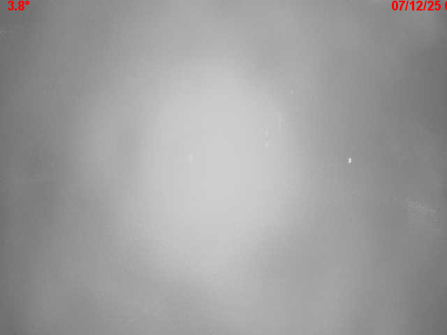 Webcam en haut du col du Ballon d'Alsace sur la D465 à 1075 mètres d'altitude dans les Vosges