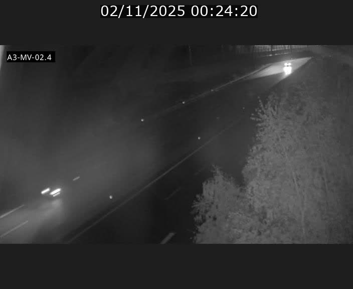 Webcam autoroute de la France (A3) au Luxembourg à Fentange, à proximité de la Croix de Gasperich. Vue orientée vers la Cloche d'Or