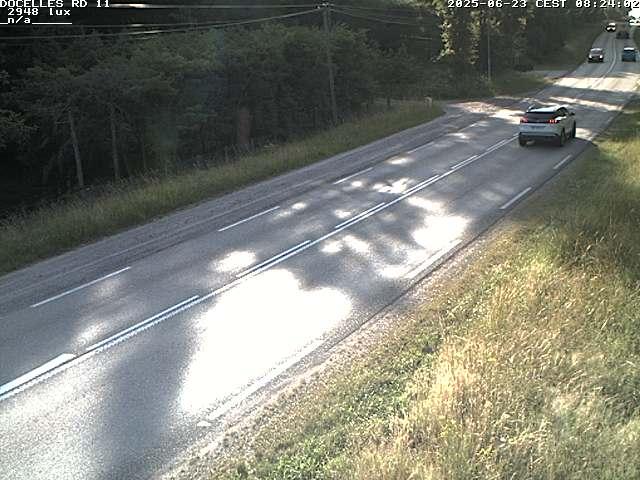 Webcam à 424 mètres d'altitude dans la Tranchée de Docelles dans les Vosges, à proximité d'Epinal sur la route de Gerardmer (D11)