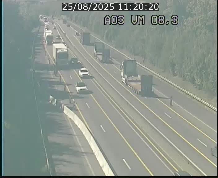 Traffic live webcam Luxembourg Bettembourg - A3 - BK 8.3 - direction France