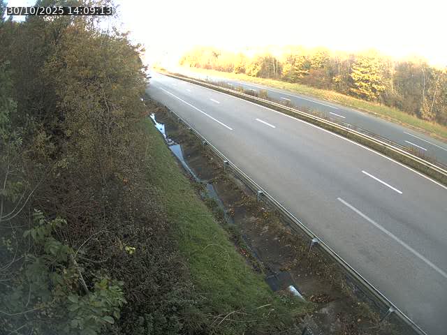 Webcam route sur la N59 à Flavigny-sur-Moselle à proximité de Nancy vers Epinal