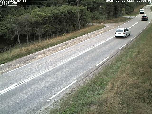 Webcam à 424 mètres d'altitude dans la Tranchée de Docelles dans les Vosges, à proximité d'Epinal sur la route de Gerardmer (D11)