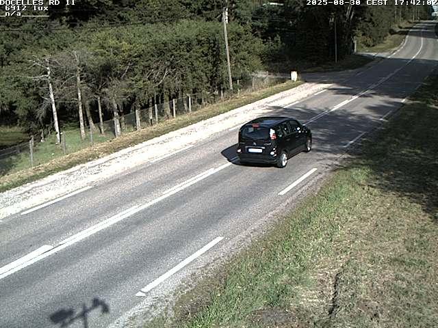 Webcam à 424 mètres d'altitude dans la Tranchée de Docelles dans les Vosges, à proximité d'Epinal sur la route de Gerardmer (D11)