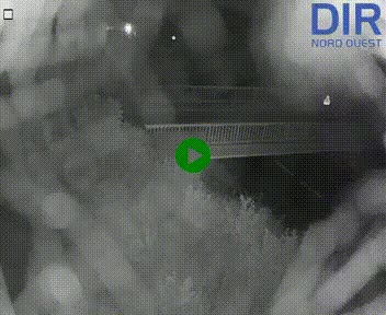 Webcam sur A84 à hauteur de Pont-Farcy, au niveau du pont autoroutier sur la Vire, au sud de Saint-Lô
