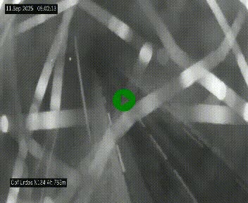 Webcam dans les Pyrénées Atlantique au niveau du col d'Urdos et du fort du Pourtalet sur la N134, en direction du Col et du tunnel du Somport, à 765 mètres d'altitude
