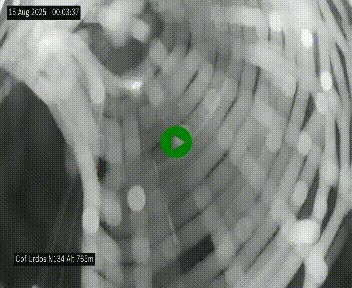 Webcam dans les Pyrénées Atlantique au niveau du col d'Urdos et du fort du Pourtalet sur la N134, en direction du Col et du tunnel du Somport, à 765 mètres d'altitude