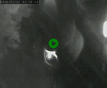 Caméra routière France - N102, au niveau du col de Montmirat à Saint-Etienne-du-Valdonnez à 1039 mètres d'altitude