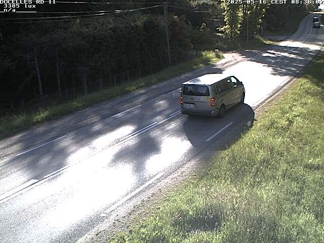 Webcam à 424 mètres d'altitude dans la Tranchée de Docelles dans les Vosges, à proximité d'Epinal sur la route de Gerardmer (D11)