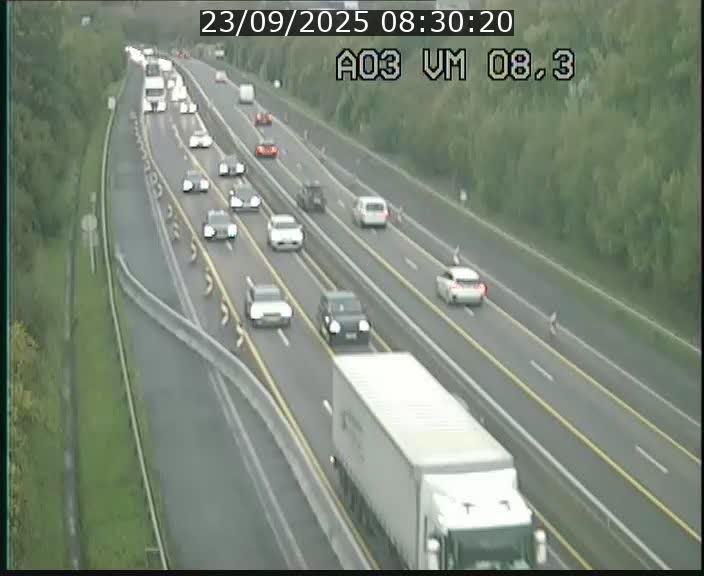 Traffic live webcam Luxembourg Bettembourg - A3 - BK 8.3 - direction France