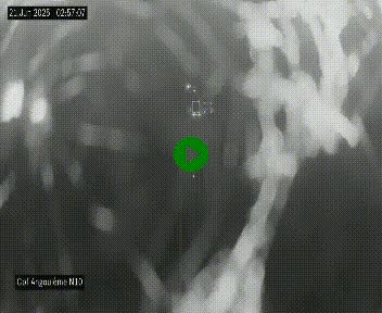 Webcam routière à la fin de la N10, en périphérique ouest d'Angouleme, proche de la jonction avec l'A10