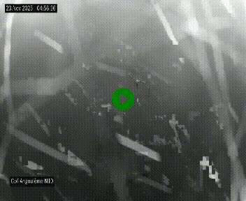 Webcam routière à la fin de la N10, en périphérique ouest d'Angouleme, proche de la jonction avec l'A10