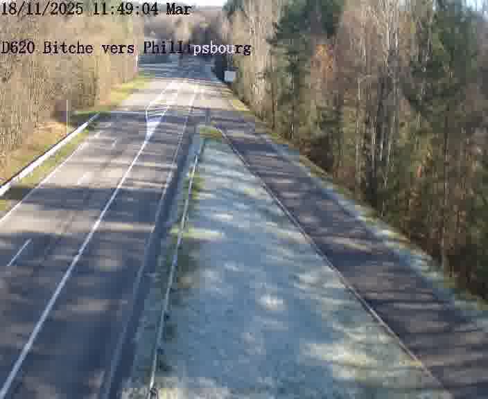 Webcam sur la D620, sur le contournement de Bitche. Vue orientée vers Philippsbourg