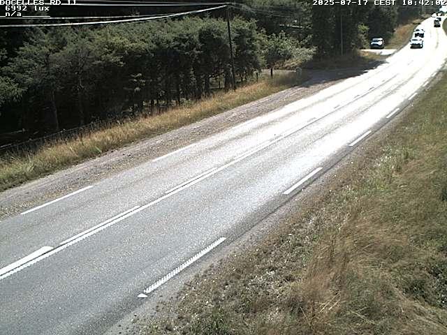 Webcam à 424 mètres d'altitude dans la Tranchée de Docelles dans les Vosges, à proximité d'Epinal sur la route de Gerardmer (D11)