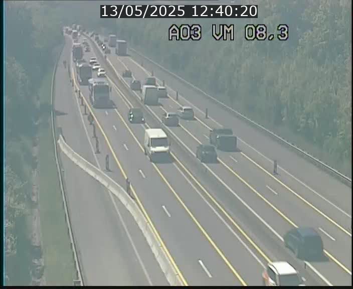 Traffic live webcam Luxembourg Bettembourg - A3 - BK 8.3 - direction France