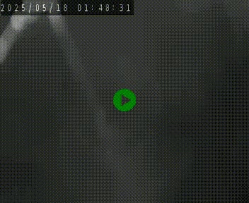 Webcam routière au niveau du col de la Chavade en Ardèche, sur la N102 à 1266 mètres d'altitude