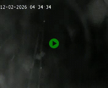 Caméra autoroutière France - A75, Cazouls d'Hérault, en direction de Béziers