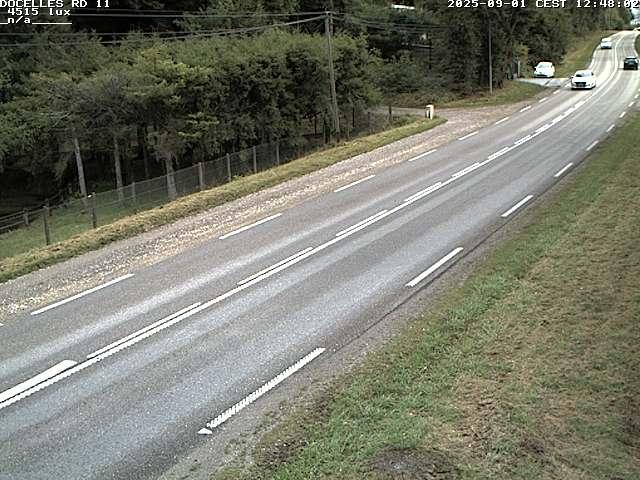Webcam à 424 mètres d'altitude dans la Tranchée de Docelles dans les Vosges, à proximité d'Epinal sur la route de Gerardmer (D11)