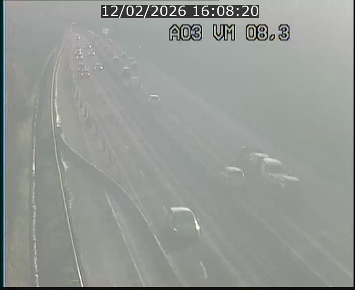 Traffic live webcam Luxembourg Bettembourg - A3 - BK 8.3 - direction France