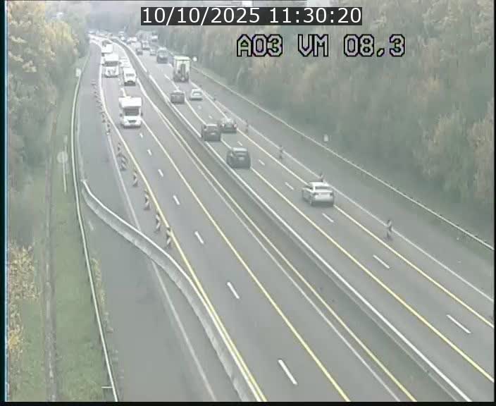 Traffic live webcam Luxembourg Bettembourg - A3 - BK 8.3 - direction France