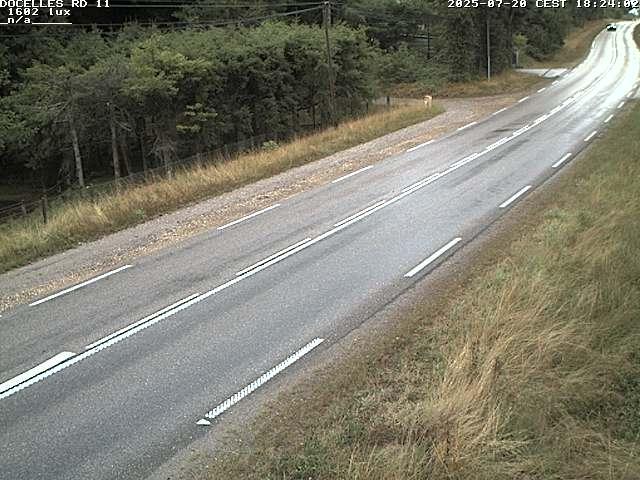Webcam à 424 mètres d'altitude dans la Tranchée de Docelles dans les Vosges, à proximité d'Epinal sur la route de Gerardmer (D11)
