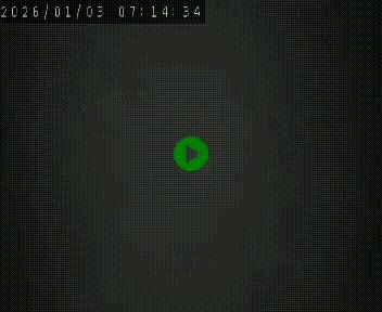 Caméra autoroutière France - A75, Coren, en direction de Montpellier