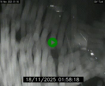 Webcam sur le périphérique de Rennes (N136) à hauteur de Tizé, à l'est de la ville