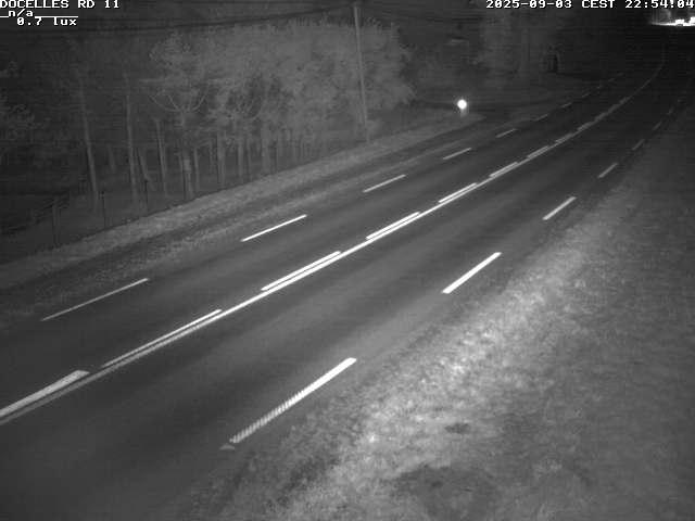 Webcam à 424 mètres d'altitude dans la Tranchée de Docelles dans les Vosges, à proximité d'Epinal sur la route de Gerardmer (D11)