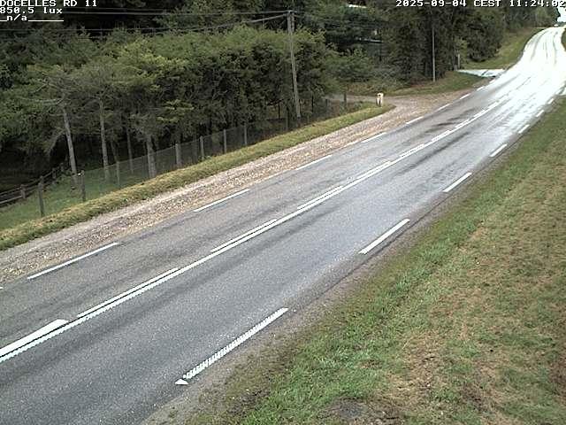 Webcam à 424 mètres d'altitude dans la Tranchée de Docelles dans les Vosges, à proximité d'Epinal sur la route de Gerardmer (D11)