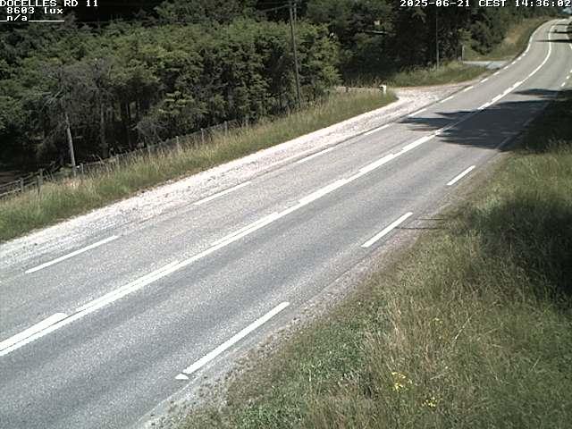 Webcam à 424 mètres d'altitude dans la Tranchée de Docelles dans les Vosges, à proximité d'Epinal sur la route de Gerardmer (D11)
