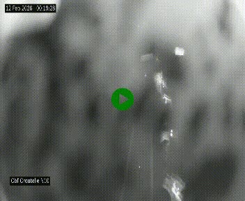 Webcam routière au début de la N10, au sud de Poitiers, proche de la jonction avec l'A10